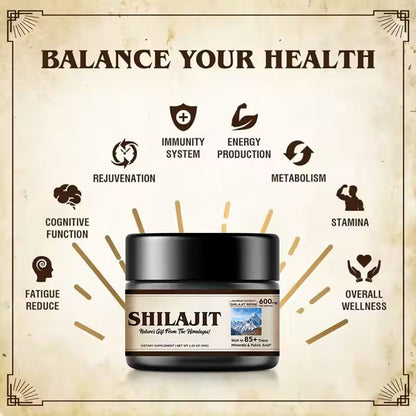 Shilajit – Die natürliche Energiequelle aus den Bergen