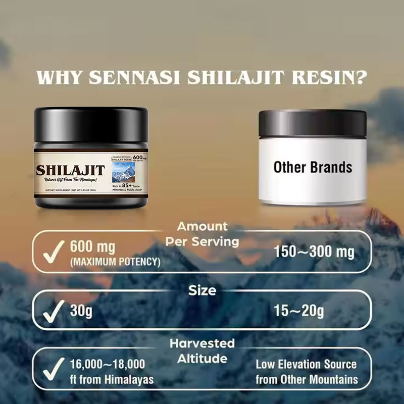 Shilajit – Die natürliche Energiequelle aus den Bergen