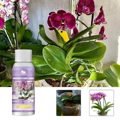 Orchideen Dünger – Blütenverstärker